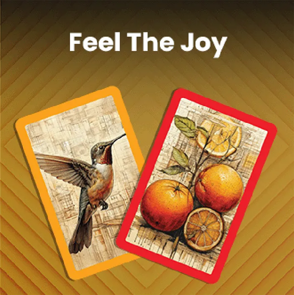 Bonus Playing Cards - 4 Pack